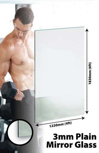 Large mirror glass gym - large,